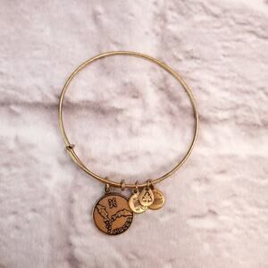 Alex and Ani Pisces bracelet gold